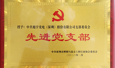 踐行初心，擔當使命丨旭宇光電獲評“先進黨支部”