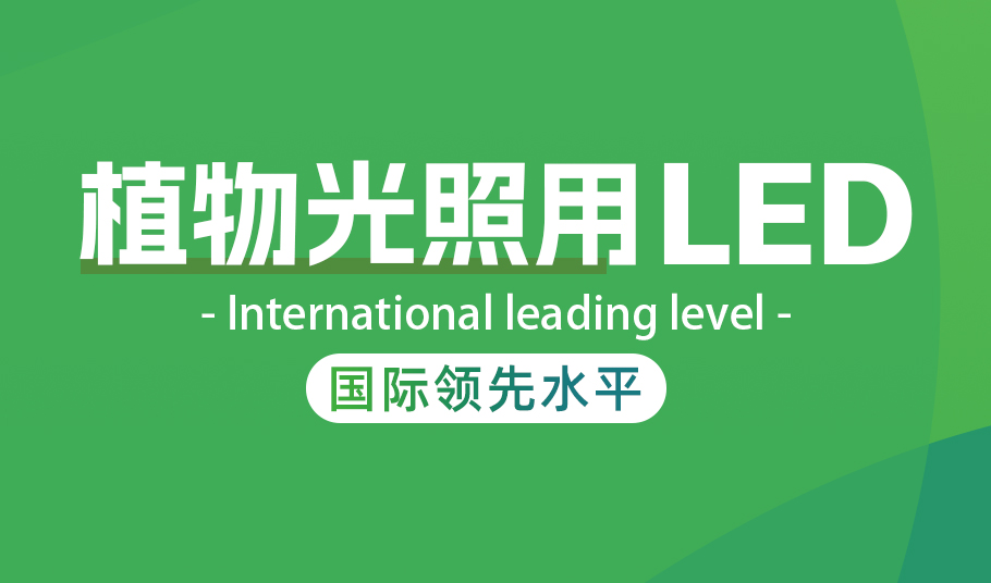旭宇光電植物照明LED：高光量子效率驅(qū)動(dòng)農(nóng)業(yè)現(xiàn)代化與節(jié)能